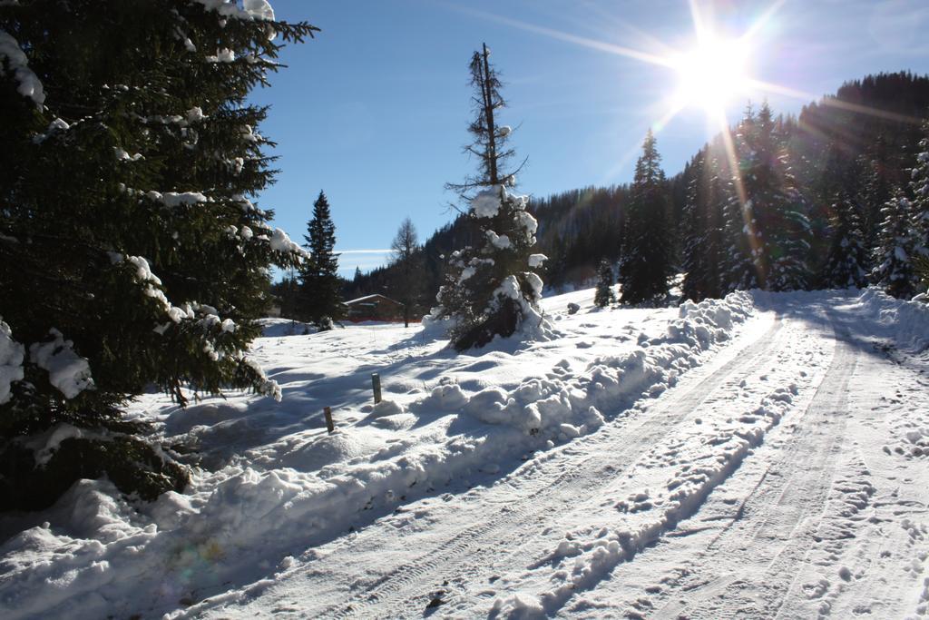 Huettentraum Flattnitz Pokoj fotografie