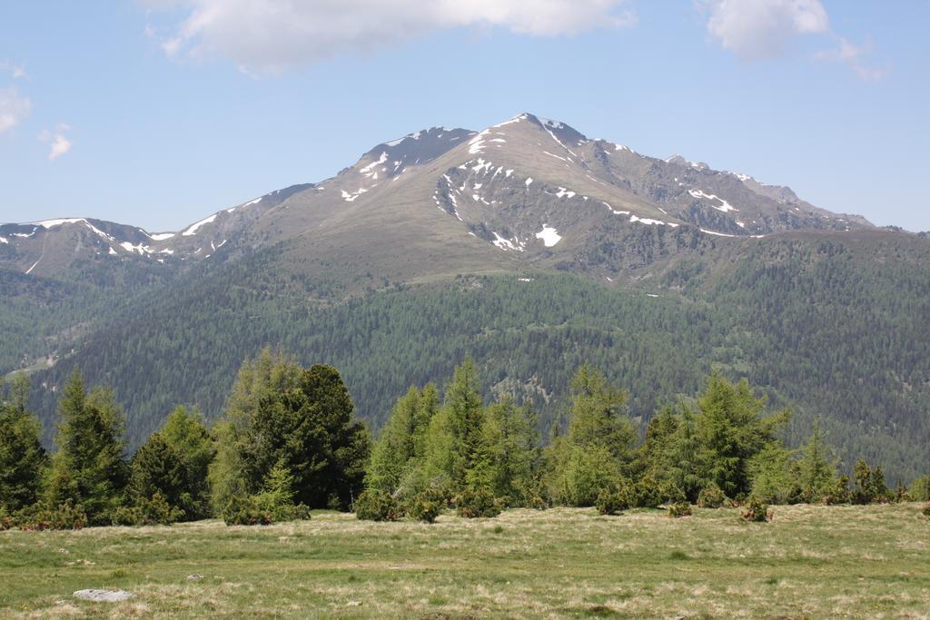 Huettentraum Flattnitz Exteriér fotografie