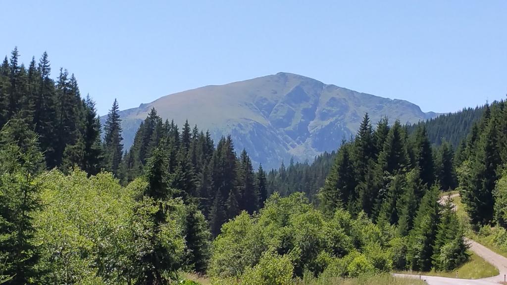 Huettentraum Flattnitz Exteriér fotografie